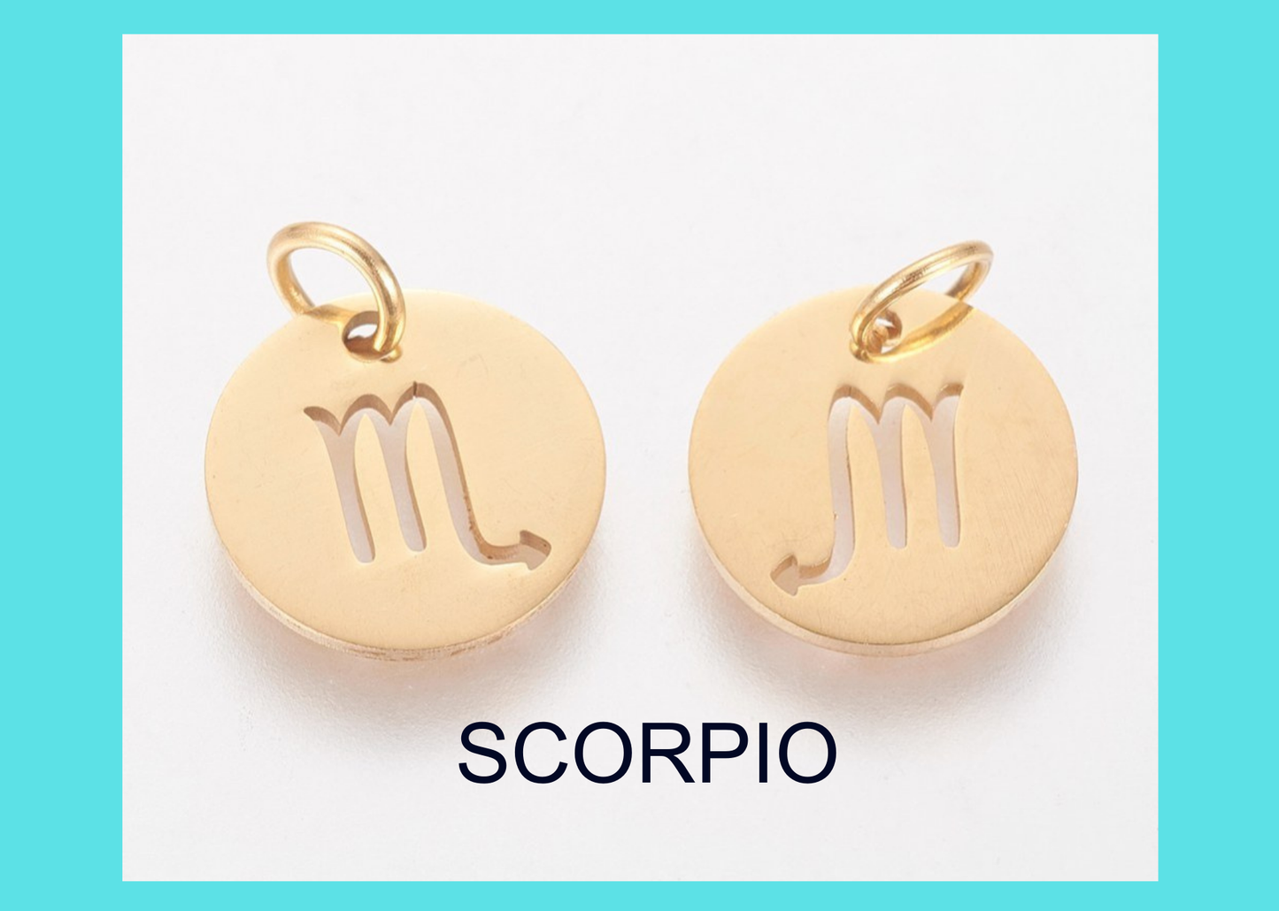 Charm - Zodiac - SCORPIO